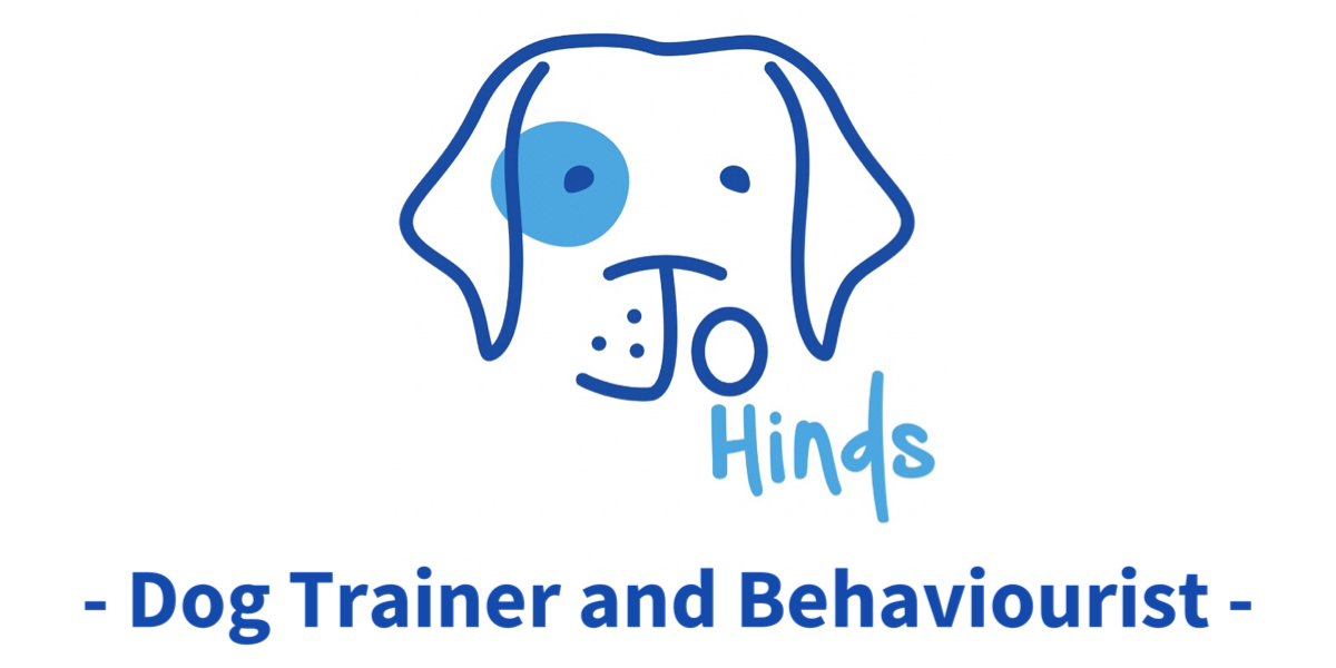 Dog Trainer & Behaviourist | Ruislip | Jo Hinds Dog Training